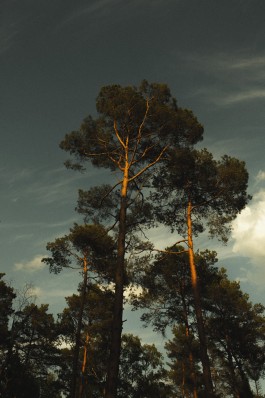 Picture by Philipp Pohl, Berlin & Worldwide