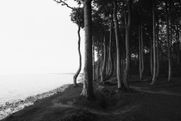  Picture by Philipp Pohl, Berlin & Worldwide