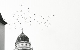  Picture by Philipp Pohl, Berlin & Worldwide
