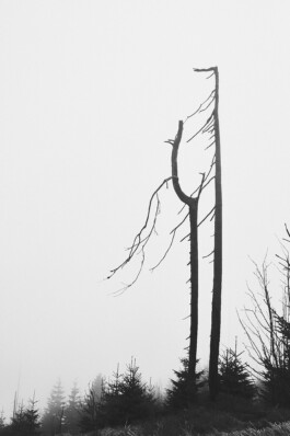  Picture by Philipp Pohl, Berlin & Worldwide