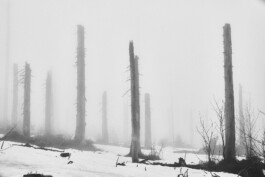  Picture by Philipp Pohl, Berlin & Worldwide
