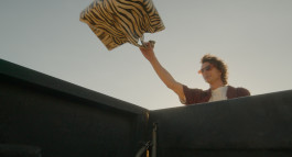 Picture by Philipp Pohl, Berlin & Worldwide