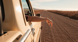 Picture by Philipp Pohl, Berlin & Worldwide