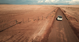 Picture by Philipp Pohl, Berlin & Worldwide