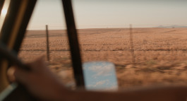 Picture by Philipp Pohl, Berlin & Worldwide