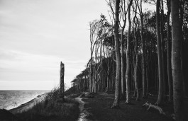  Picture by Philipp Pohl, Berlin & Worldwide