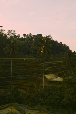  Picture by Philipp Pohl, Berlin & Worldwide