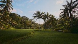  Picture by Philipp Pohl, Berlin & Worldwide