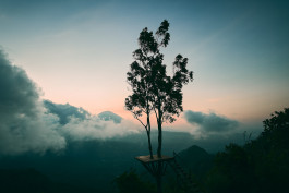  Picture by Philipp Pohl, Berlin & Worldwide